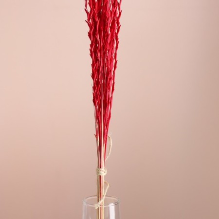 Set of dried flowers "Raigrace", banch 21 pcs, length 60 (+/- 6 cm), red-1