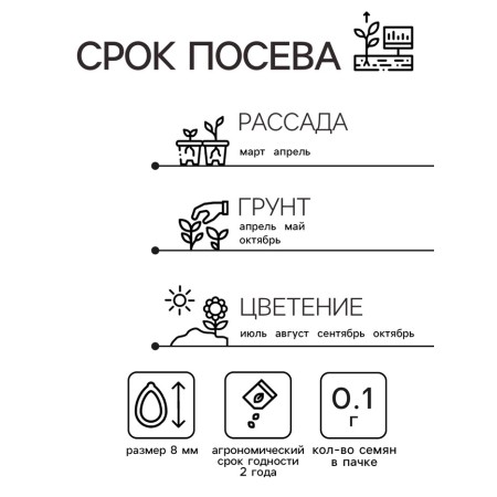 Семена Астра "Королева рынка", однолетняя, 0,1 г б/п-3