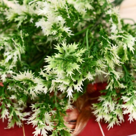 Bouquet "Asparagus Galant" 29 cm, white-green-1