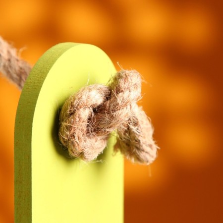 Wooden Kashpo 25.5 × 15 × 30 cm "AROMA", handle rope, pistachio-4