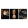 Carty watch wall modular pineapple, 49x39 cm, silent, triptych