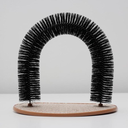 Complex for cats with claws and arch arch-1
