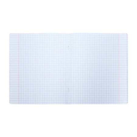 Student notebook 48 sheets in the Erichkrause Duotone Next cell, mix-1