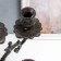 Cast iron candle for 5 candles "royal" black 43x29x29 cm