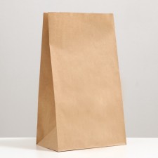 Craft package Paper Pack, rectangular bottom 24 x 14 x 40 cm 70 g/m2, set 20 pcs