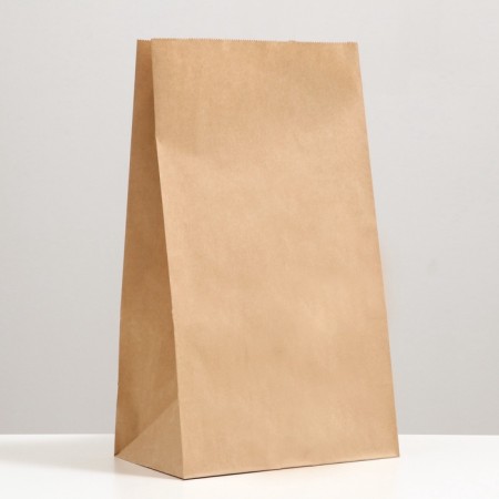 Craft package Paper Pack, rectangular bottom 24 x 14 x 40 cm 70 g/m2, set 20 pcs