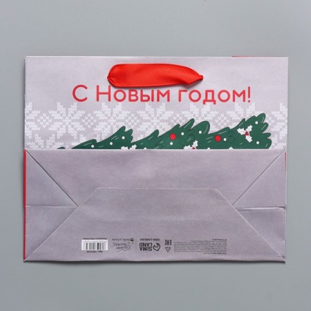 Craft horizontal package “I hurry to you”, MS 23 x 18 x 10 cm, New Year-6