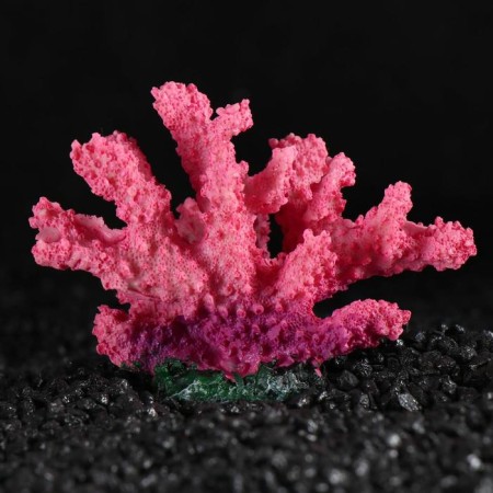 Decorative Coral "Sinulary", 10 x 5 x 6.5 cm