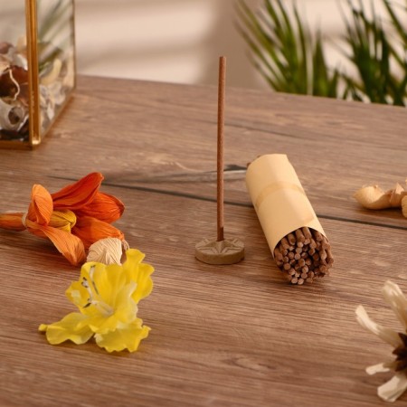 Incense "Vedic Aroma" (set of 50 sticks) meditation-1