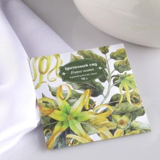Sasha Aromatic 