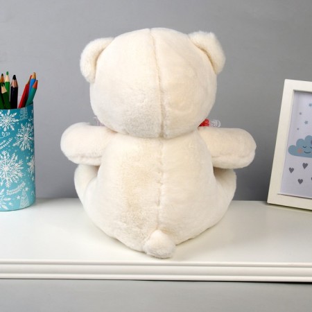 Soft toy "Bear", 26 cm, Mix colors-2