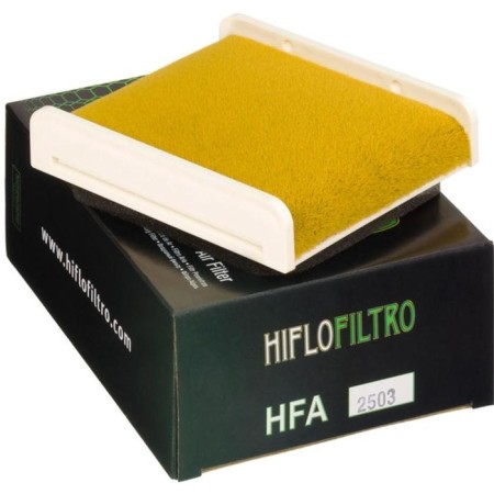 Air filter HFA2503