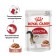 Wet feed RC Instinctive for cats, in sauce, spider, 85 g