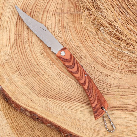 Folding “Herculer” knife 17.2cm, 79mm/1mm blade