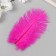 Fuchsia decorative feather