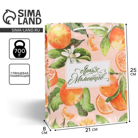 Gift Package Laminated, packaging, “bright moments”, ml 21 x 25 x 8 cm-1