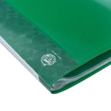 Folder with 60 A4, 500 microns, Calligrata, pocket on the spine, green-3