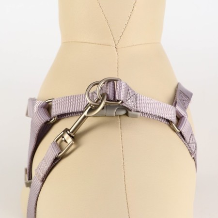 A set of ammunition with a soft harness, m, leash 120 x 1.5 cm, Osh 26-48 cm, OG 26-48 cm, gray.-3