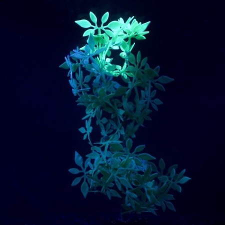 Silicone aquarium plant, glowing in the dark, 8 x 19 cm, green-1