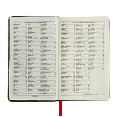 Diaumer Lowed A5, 136 Bridge sheets, artificial leather cover, metal edging, lies, silver-7