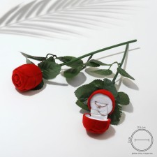 The case is velvet under the Rose on the stem ring 4.5 × 4.5, the color is red-green, the insert is white