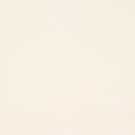 Baking "Upak Land", siliconized, white 38 cm x 10 m-4