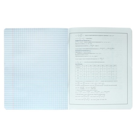 A notebook “Bright details”, 48 sheets in the “Algebra” cage, covered cardboard, selective twin-lak, UV-lak, OFSET block-4
