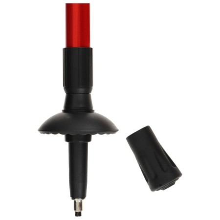 Sticks for Scandinavian walking online, telescopic, 3 sections, up to 135 cm, 2 pcs., Mix color-9