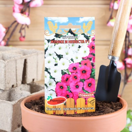 Surfinia flower seeds (ampelous Petunia) "Bride and Bride", F1, 5 pcs