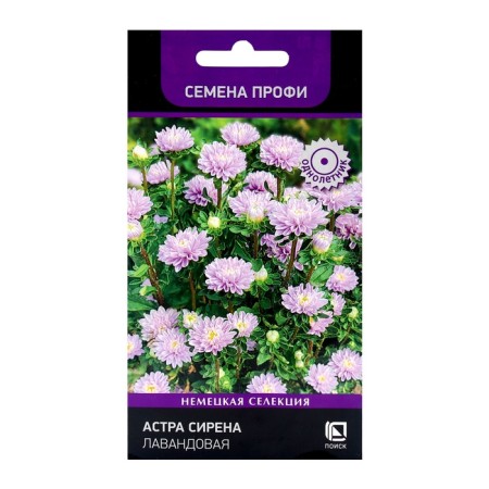 Flower seeds Astra Siren Lavender, 0.05gr