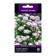 Flower seeds Astra Siren Lavender, 0.05gr