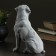 Souvenir "Rottweiler (Big)" 19.5cm