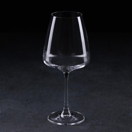Set of glasses for wine Corvus, 360 ml, 6 pcs-1