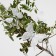 A butterfly for decor and floristry, on a clothespin, plastic, white, mix, 1 pc., 4 cm and 8 cm