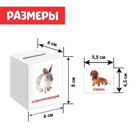 Porter-cap "Animals" according to the methodology of G. Doman-4