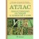 Atlas of medicinal plants and impurities for them. Tutorial