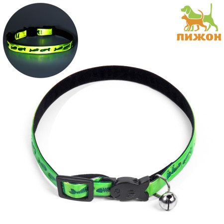 Fly collar with reflective coating "fish", 30 x 1 cm, green