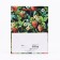 Gift package "Strawberry", 18 x 22.3 x 10 cm