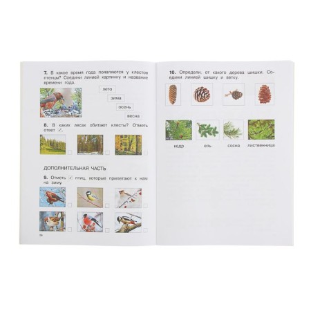 Diagnostic complex work. Russian language, mathematics, the world around us, literary reading. 1 class. Uzorova O.V., Nefedova E.A.-1