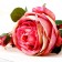 Artificial flowers "Rose Trio" 10x65 cm, pink