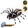 Radio -controlled “Tarantula” spider, smoke effect, light effects, works from the battery