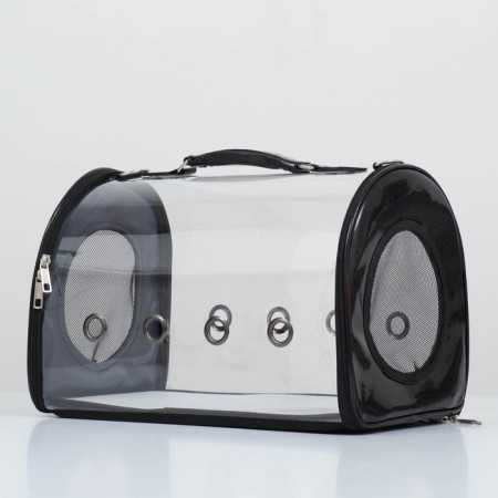 Transparent bag, 43*24*28 cm, black-2