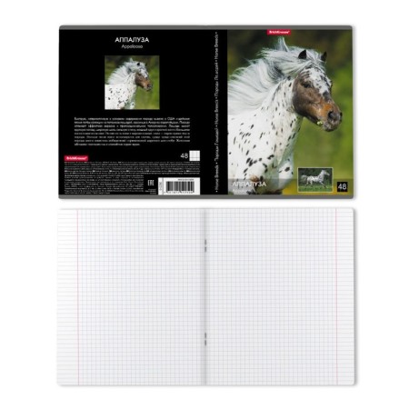 Notebook of 48 sheets in the Erichkrause "horse", cover coated cardboard, offset block 100% whiteness, mix-7