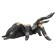Figure Konik "Red -handed tarantula"
