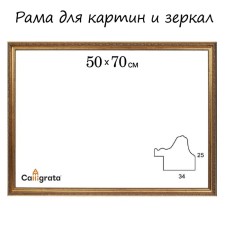 Рама для картин (зеркал) 50 х 70 х 3,3 см, пластиковая, Dorothy, золотая