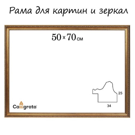 Frame for paintings (mirrors) 50 x 70 x 3.3 cm, plastic, dorothy, gold