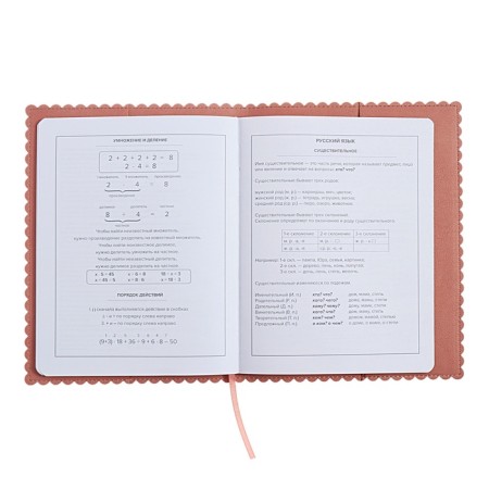 Universal Grade 1-11 Diary, 48 sheets "hare ears", soft cover of artificial leather, applique, foil embossing, figured cutting, universal cheat sheet, lies, block 80 g/m2-11