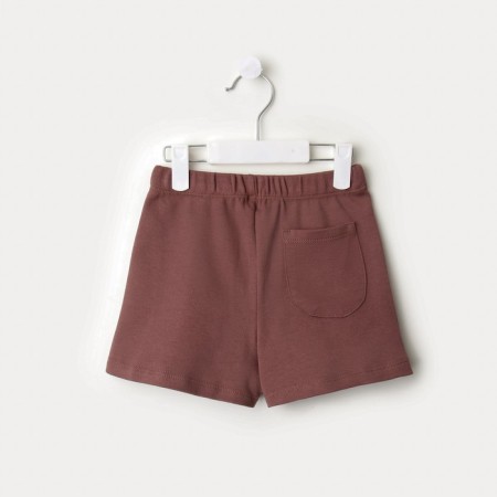 Kidsa (sweatshirt, shorts) minku, brown color, height 104 cm-11