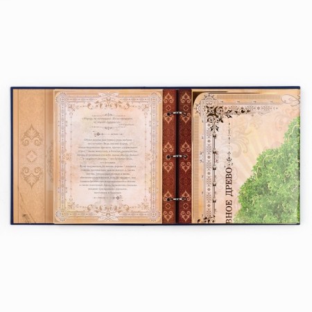 The genealogy book with a frame under the photo "Pedigree Book", 50 sheets, 21.5 x 23.7 cm-2