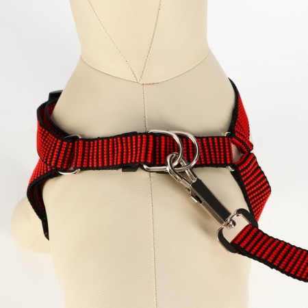 Acunition set is embossed, leash 120 x 2 cm, og 44-50 cm, red-black-3